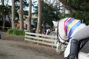 Competitor picture for Gracie