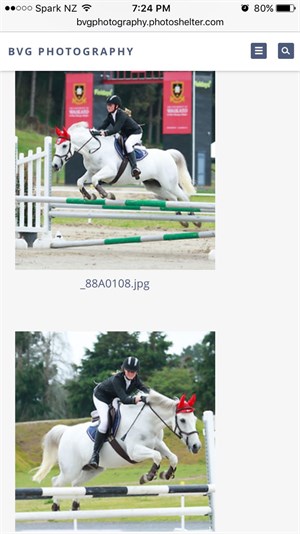 Competitor picture for Silver Rhinestone
