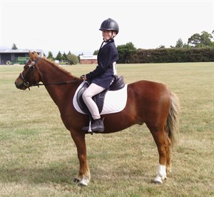 Competitor picture for Brackenmere Sunny Sunday