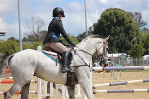 Competitor picture for Toragrey 