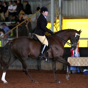 Competitor picture for Vicki Matheson