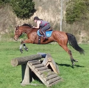 Competitor picture for Kowhai KneezUp 