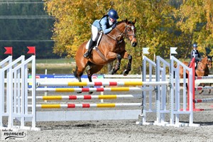 Competitor picture for Steelfix