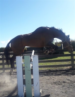 Competitor picture for Miss Soprano