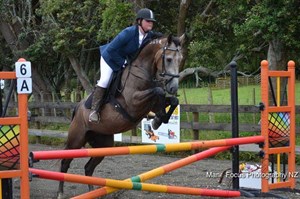 Competitor picture for Bronson's Son