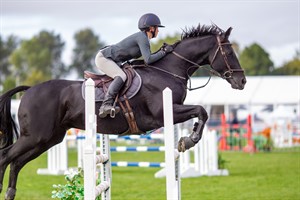 Competitor picture for At the limit 