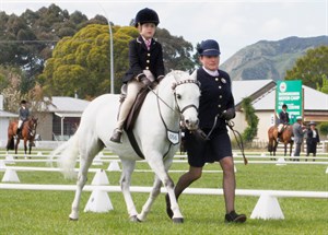 Competitor picture for Hazel Cheetham