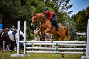 Competitor picture for Campione Di Rose