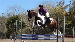 Competitor picture for Goss green masquerade