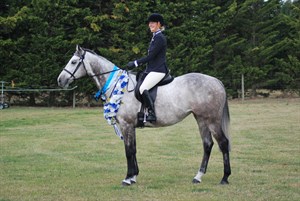 Competitor picture for Gracious Presence 