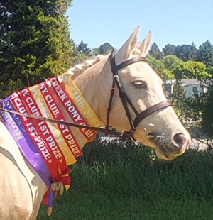 Competitor picture for Lillie of the vallie