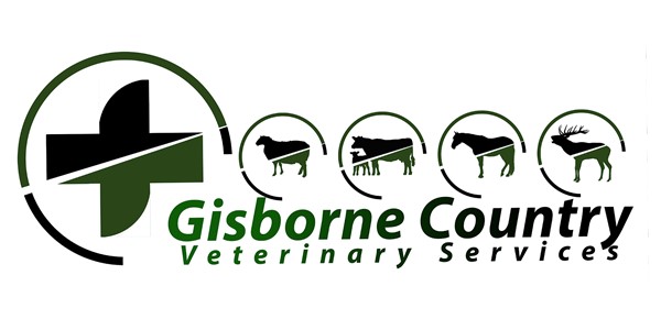Gisborne Country Vet Services