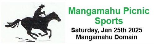Mangamahu Picnic Sports
