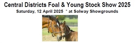 Central Districts Foal & Young Stock Show