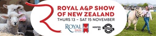 Royal A&P Show, Canterbury - EQUESTRIAN