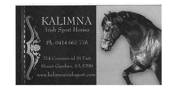 Kalimna Irish Sport Horses