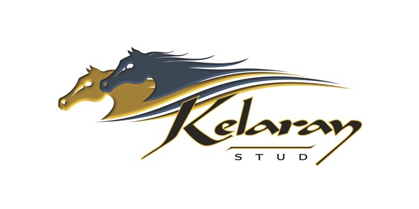 Kelaray Stud