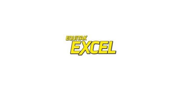 Excel