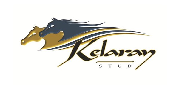 Kelaray Stud 