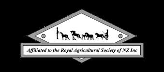 NZ Miniature Horse National Show