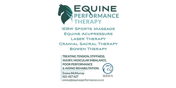 Equine Performance Therapy