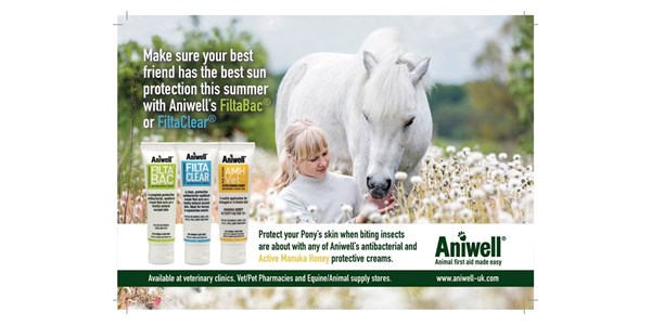 Aniwell