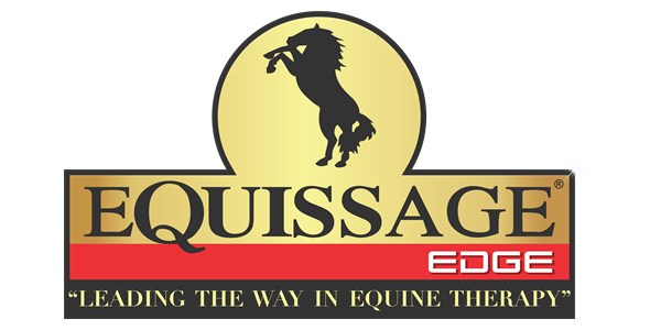 Equissage