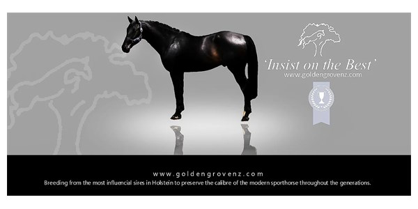 GOLDENGROVE STUD 