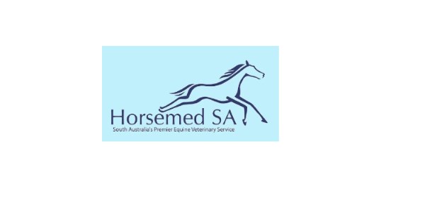 Morphettville Equine Hospital