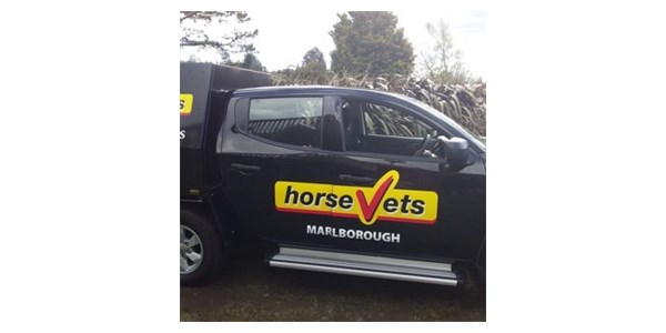 HorseVets Marlborough
