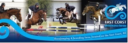 National Young Horse Jumping Championships 2020