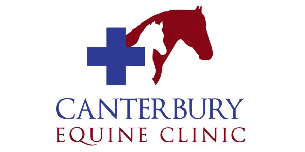 Canterbury Equine Clinic
