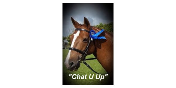 Chat U Up