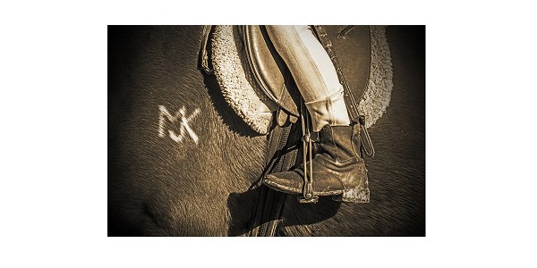 MJK Sporthorses