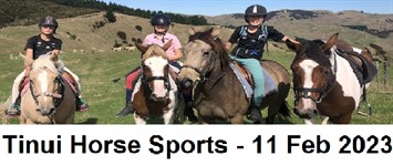 TINUI HORSE SPORTS CLUB