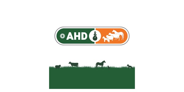 ADH