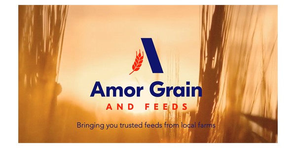 Amor Grains