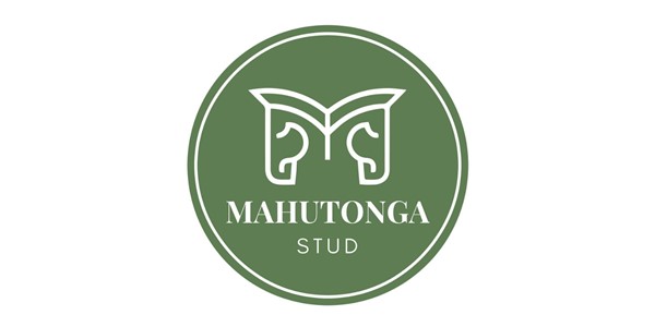 Mahutonga Stud