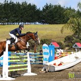 Open Horse 1.20m