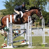 Amateur Rider