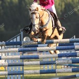 Pony 6 Bar