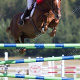 Fibre Fresh GP/Bayer World Cup