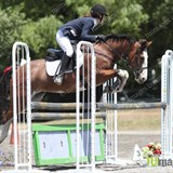 Pony 1.05m