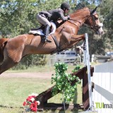 Horse 1.20m Derby