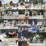 All photos are up!