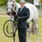 NZ National Horse & Pony Show 2015