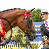 NZ National Horse & Pony Show 2015