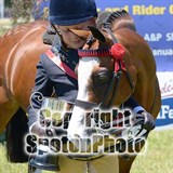 NZ National Horse & Pony Show.