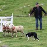 Rupert Jones and his dog Rogue