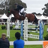 Ross Smith (NZL) & Quite Cassini in the Grand Prix